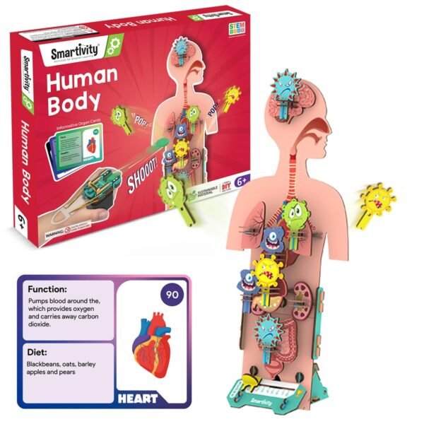 Smartivity Human Body Toy for Kids 6-12 Years|Body Organs & Functions|Birthday Gifts for Unisex|DIY Science Toys 6,7,8,9,10,11,12,13,14 Years Old I STEM Building Set Wooden Construction Game,79 Pcs
