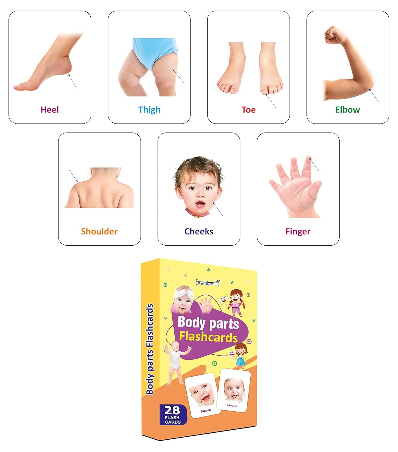 Premium Parts of The Body Flash Cards for Kids Early Learning | Easy & Fun Way of Learning 1 Year to 6 Years Babies Smart Toys - Image 3