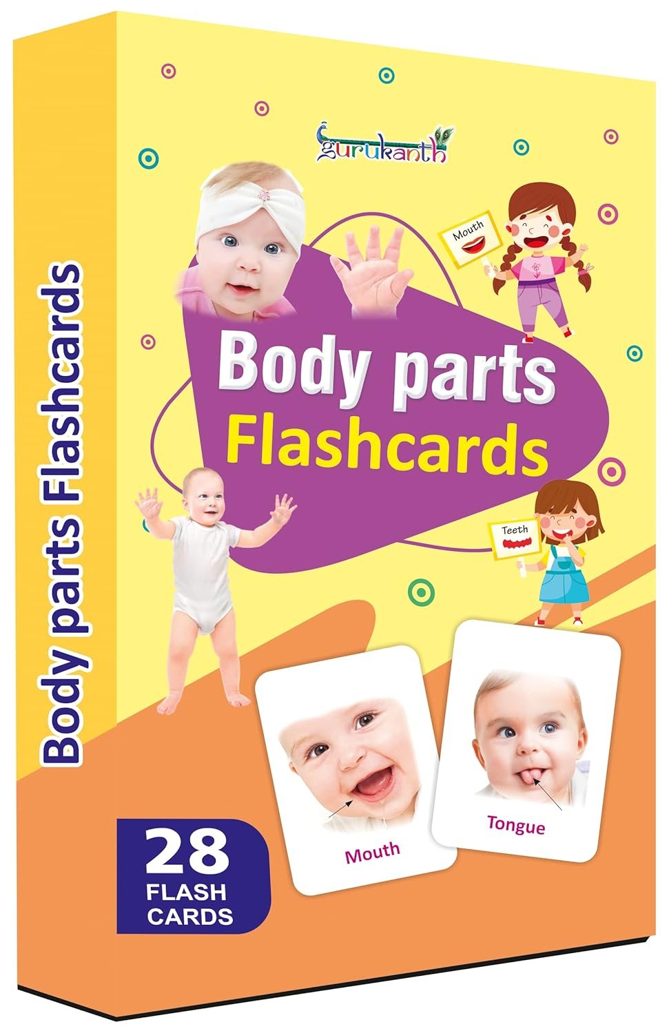 Premium Parts of The Body Flash Cards for Kids Early Learning | Easy & Fun Way of Learning 1 Year to 6 Years Babies Smart Toys