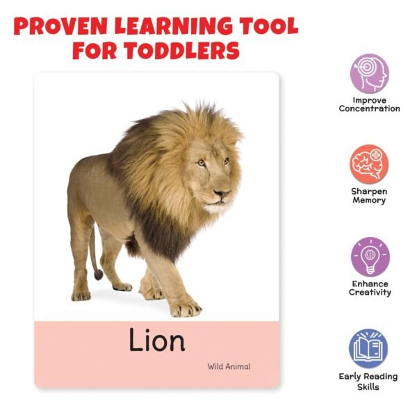 Big Flash Cards for Kids: Animals | 32 Double-Sided Picture Cards, Durable & Water Resistant | Early Learning & Development Toy for Preschoolers & Toddlers 2-6 Years | Can Be Wiped Clean - Image 4