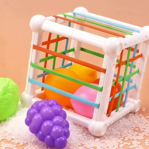 Toy Shape Sorter Baby Toys Sensory Sorting Toys for Kids Children Birthday Gifts - Image 6