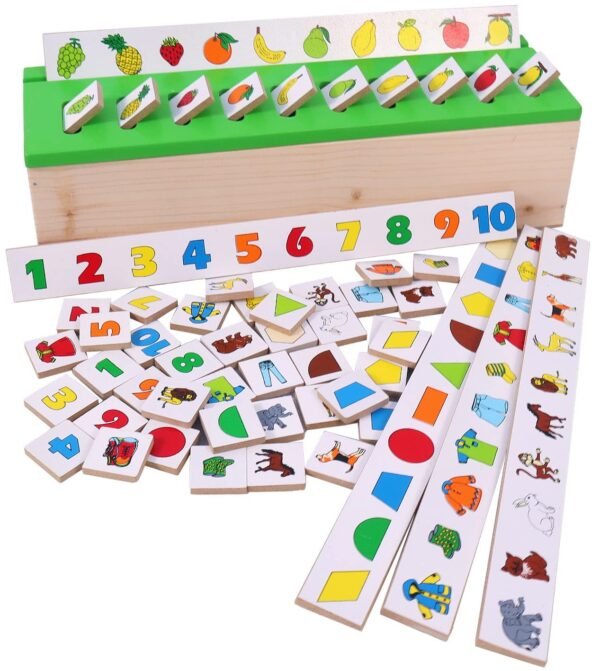 Toyshine Wooden Classification Sorting Box|Montessori Toys for Toddlers Learning Educational Activities Preschool Kindergarten Games Autism Toys Motor Skills STEM for Girls Boys 2-4 Year Old, 80 Pcs