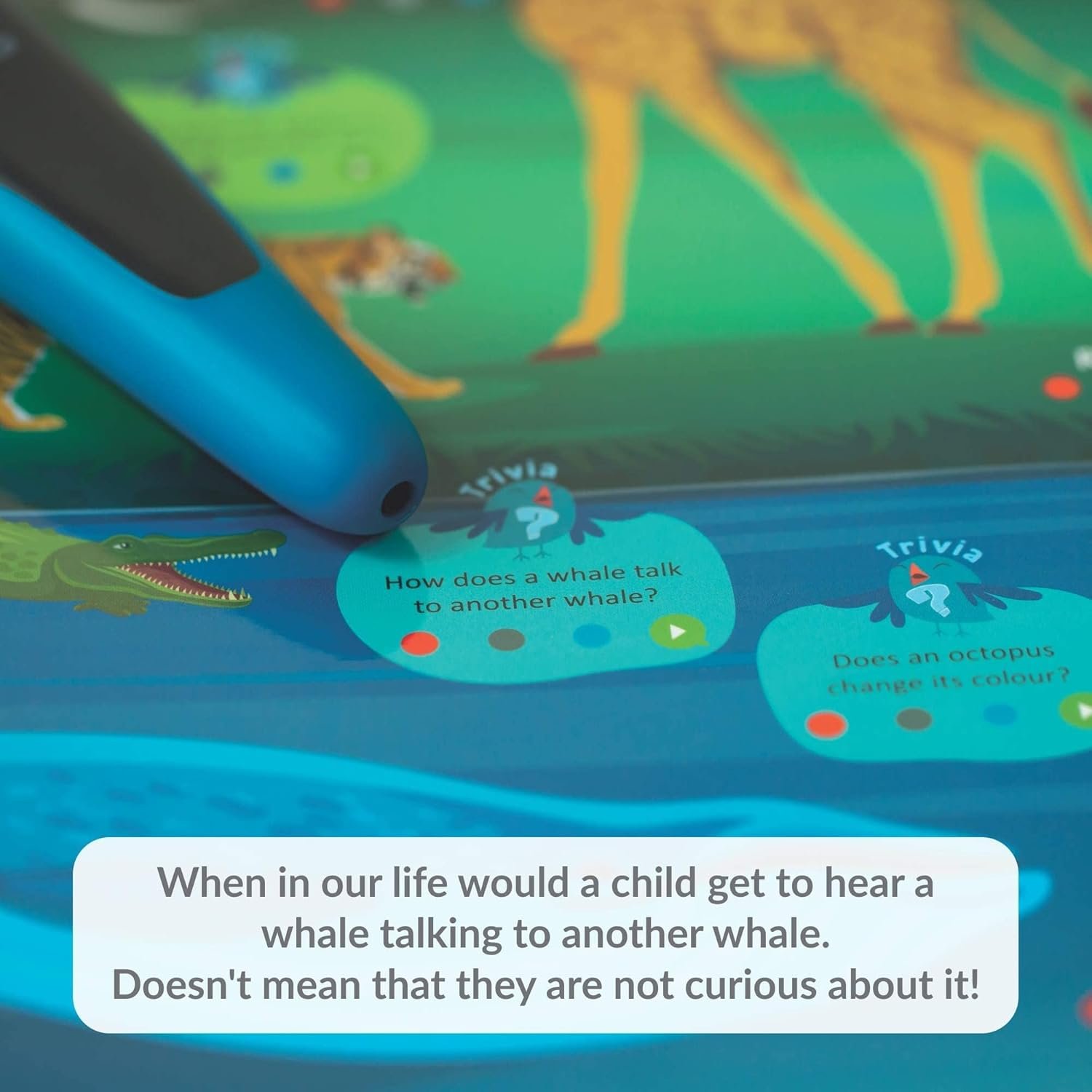 Kinder Smart Interactive Learning Series with Talking Pen(Set of 18) Activity & Learning Toys for Children, Fun Educational Toy for Kids, Paper Based Multi-Sensorial Posters (3-6 Year Old) - Image 5