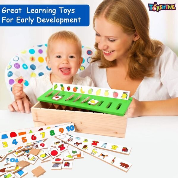 Toyshine Wooden Classification Sorting Box|Montessori Toys for Toddlers Learning Educational Activities Preschool Kindergarten Games Autism Toys Motor Skills STEM for Girls Boys 2-4 Year Old, 80 Pcs - Image 6