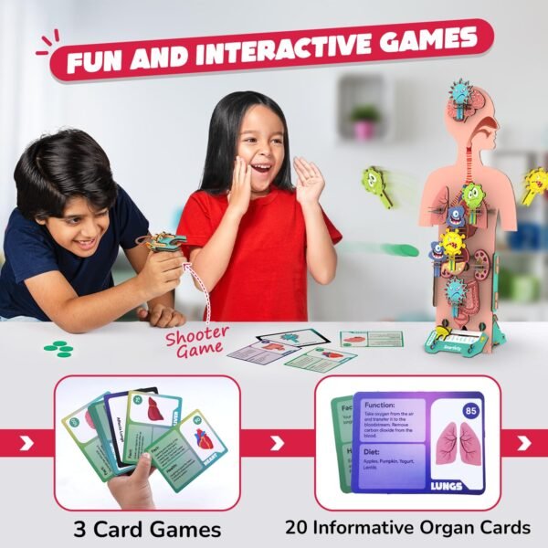 Smartivity Human Body Toy for Kids 6-12 Years|Body Organs & Functions|Birthday Gifts for Unisex|DIY Science Toys 6,7,8,9,10,11,12,13,14 Years Old I STEM Building Set Wooden Construction Game,79 Pcs - Image 3