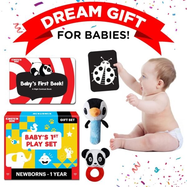 Einstein Box Gift Set for Babies and Newborns ages 0-3-6-9-12 Months | High Contrast Flash Cards for Visual Stimulation & Sensory Development | Gift Set of Rattles and High Contrast Book & Flash Cards - Image 6