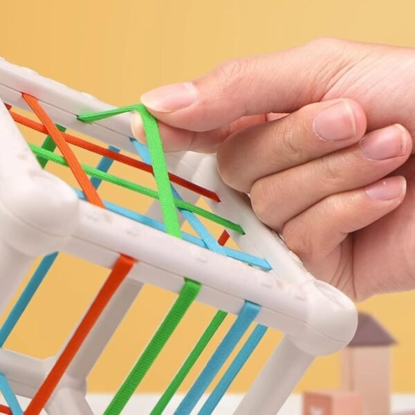Toy Shape Sorter Baby Toys Sensory Sorting Toys for Kids Children Birthday Gifts - Image 4