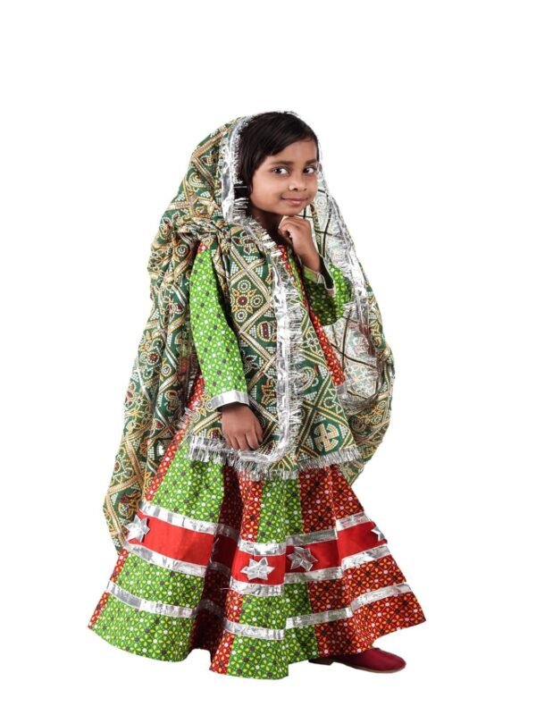 BookMyCostume Rajasthani Indian State Fancy Dress Costume for Girls and Females
