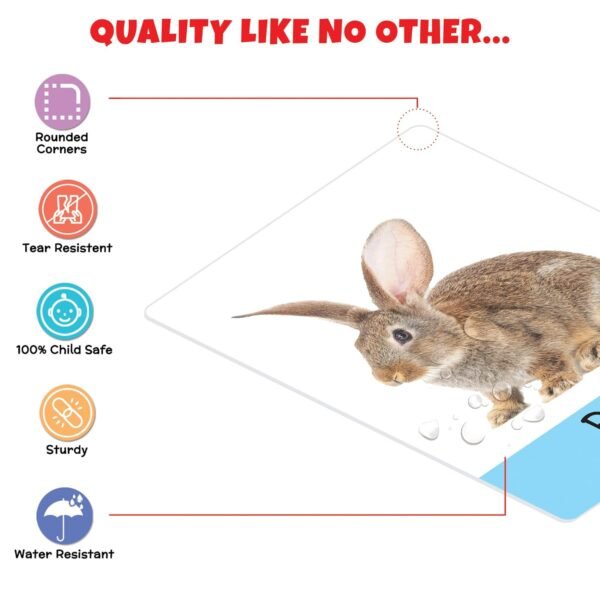 Big Flash Cards for Kids: Animals | 32 Double-Sided Picture Cards, Durable & Water Resistant | Early Learning & Development Toy for Preschoolers & Toddlers 2-6 Years | Can Be Wiped Clean - Image 5