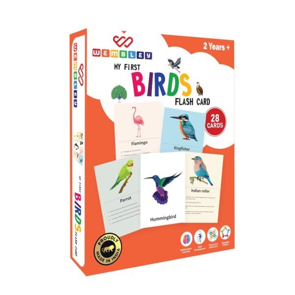 Wembley Flash Cards for Kids Toys 1 2 3 4 5 Years Babies Boys Girls | Educational Preschoolers Montessori Early Learning Flash Cards – Birds, Set of 28 Cards - Image 6