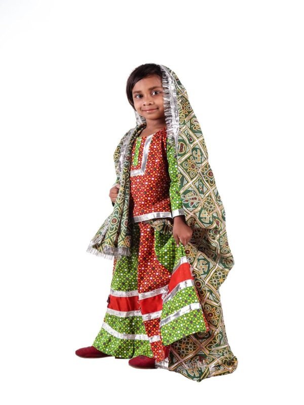 BookMyCostume Rajasthani Indian State Fancy Dress Costume for Girls and Females - Image 3