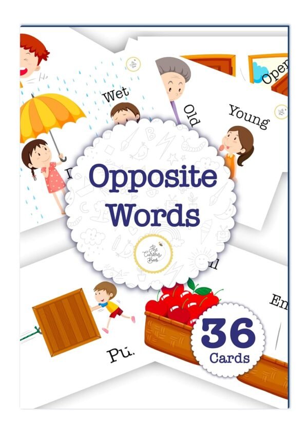 My Body Flash Cards | 36 Laminated Cards for Kids | Age Group: 2-4 Years | Science Education Fun Activity for Kids - Image 5