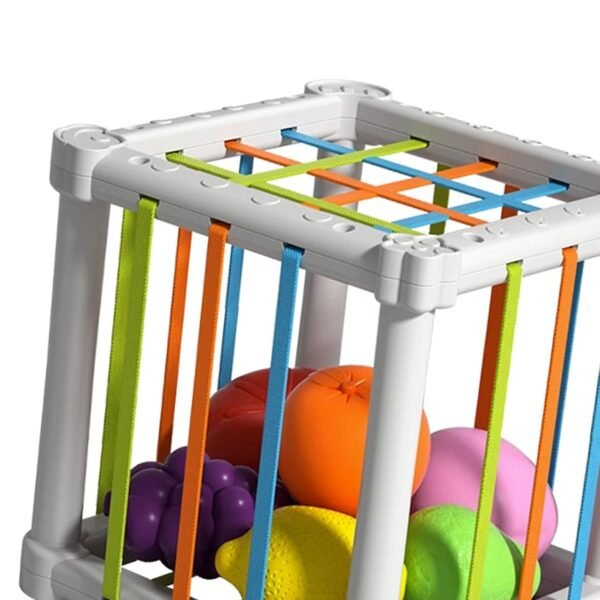 Toy Shape Sorter Baby Toys Sensory Sorting Toys for Kids Children Birthday Gifts