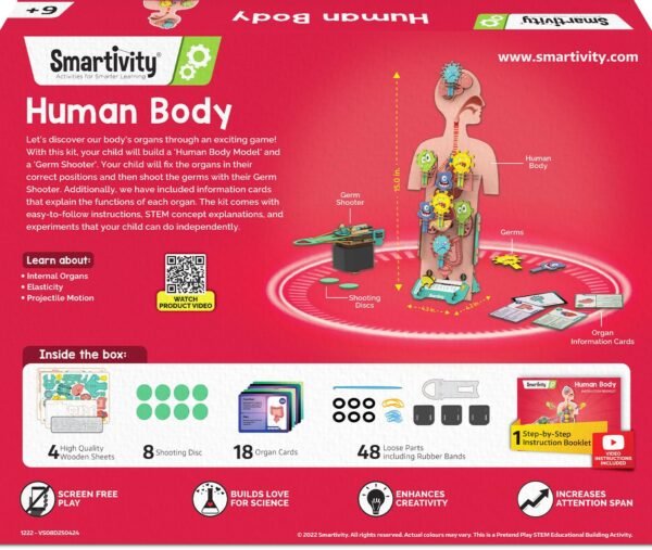 Smartivity Human Body Toy for Kids 6-12 Years|Body Organs & Functions|Birthday Gifts for Unisex|DIY Science Toys 6,7,8,9,10,11,12,13,14 Years Old I STEM Building Set Wooden Construction Game,79 Pcs - Image 6