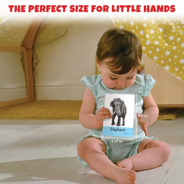 Big Flash Cards for Kids: Animals | 32 Double-Sided Picture Cards, Durable & Water Resistant | Early Learning & Development Toy for Preschoolers & Toddlers 2-6 Years | Can Be Wiped Clean - Image 3