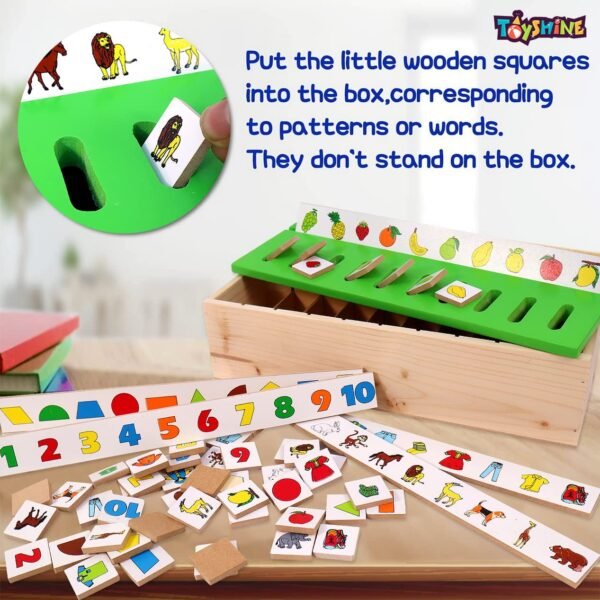 Toyshine Wooden Classification Sorting Box|Montessori Toys for Toddlers Learning Educational Activities Preschool Kindergarten Games Autism Toys Motor Skills STEM for Girls Boys 2-4 Year Old, 80 Pcs - Image 4