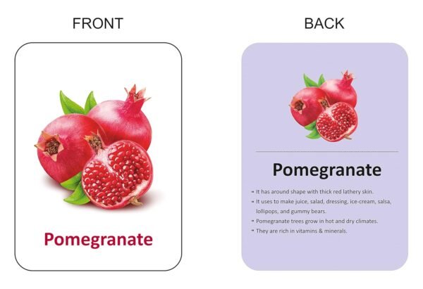 Premium 8-in-1 Brain Boosting Non-Tearable Flash Cards for Kids | 224 Laminated Cards | 1+ Years | Early Learning Montessori Education Toy for Toddlers | Waterproof | Return Gift - Image 3
