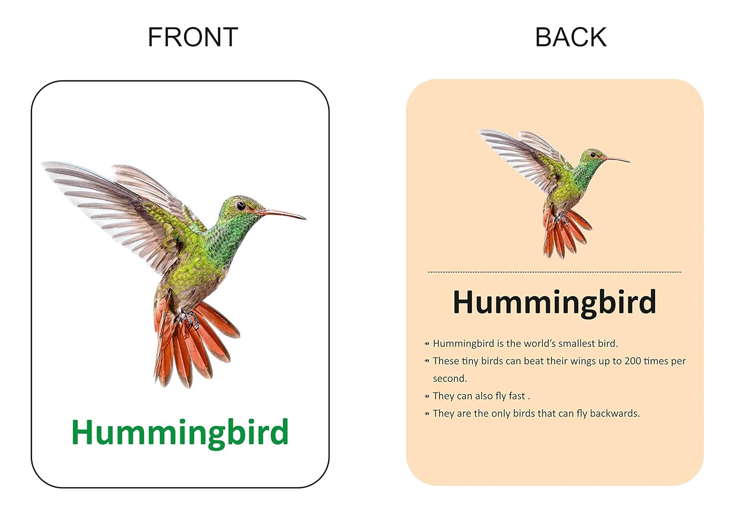 Premium Birds Flash Cards for Kids Early Learning | Easy & Fun Way of Learning 1 Year to 6 Years Babies Smart Toys - Image 3