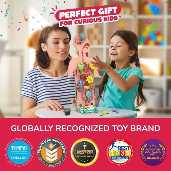 Smartivity Human Body Toy for Kids 6-12 Years|Body Organs & Functions|Birthday Gifts for Unisex|DIY Science Toys 6,7,8,9,10,11,12,13,14 Years Old I STEM Building Set Wooden Construction Game,79 Pcs - Image 5