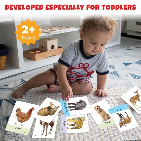 Big Flash Cards for Kids: Animals | 32 Double-Sided Picture Cards, Durable & Water Resistant | Early Learning & Development Toy for Preschoolers & Toddlers 2-6 Years | Can Be Wiped Clean - Image 6
