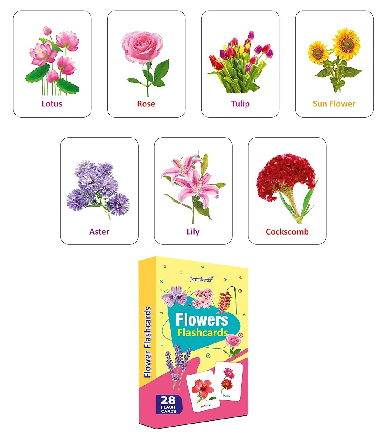 Premium Flowers Flash Cards for Kids Early Learning | Easy & Fun Way of Learning 1 Year to 6 Years Babies Smart Toys - Image 3