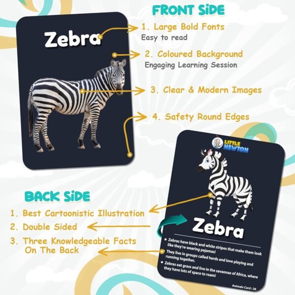 LittleNewton Flash Cards For Kids - Premium Thick Modern Flash Cards For Kids, Educational & Brain Toys For Kids, Montessori, Age- 1-6 Years Old,Preschool Learning For Kids [PACK OF 7| 210 FLASHCARDS] - Image 3