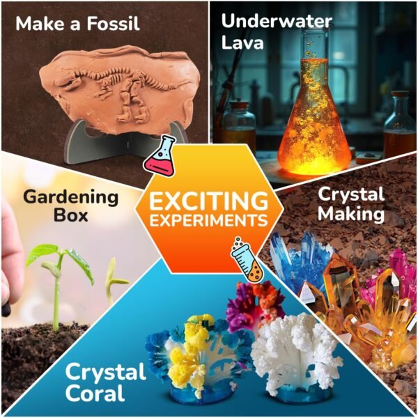 Smartivity Mega Crystal Earth Science Kit | Explore Earth, Crystal, and Fossilization Concepts | Birthday Gift for Boys & Girls I STEM Educational DIY Science Toys for Kids Ages 8,9,10,11,12,13,14 - Image 3