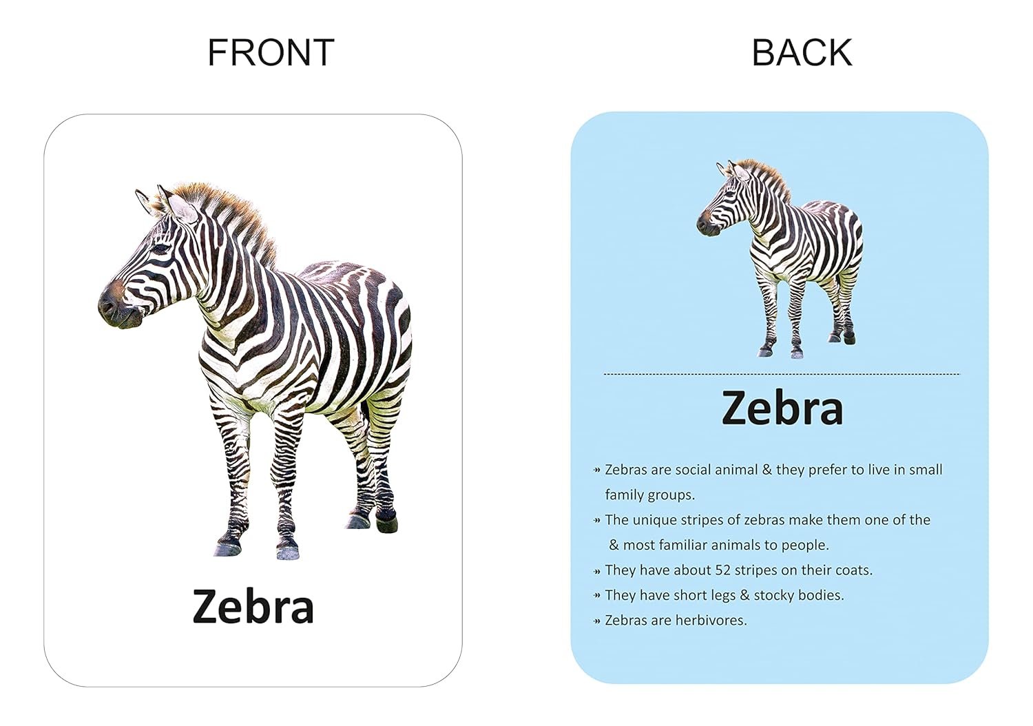 Premium Animals Flash Cards for Kids Early Learning | Easy & Fun Way of Learning 1 Year to 6 Years Babies Smart Toys - Image 3
