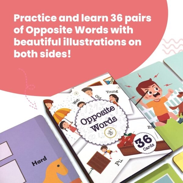 My Body Flash Cards | 36 Laminated Cards for Kids | Age Group: 2-4 Years | Science Education Fun Activity for Kids - Image 6