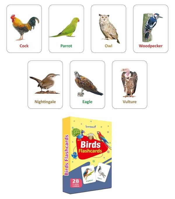 Premium Birds Flash Cards for Kids Early Learning | Easy & Fun Way of Learning 1 Year to 6 Years Babies Smart Toys - Image 2