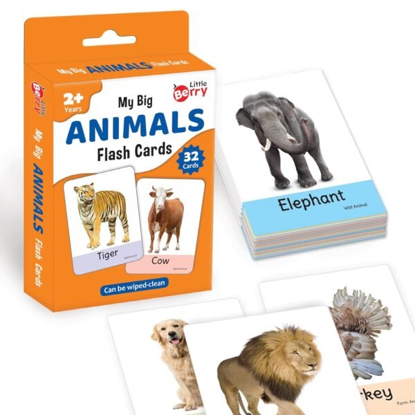 Big Flash Cards for Kids: Animals | 32 Double-Sided Picture Cards, Durable & Water Resistant | Early Learning & Development Toy for Preschoolers & Toddlers 2-6 Years | Can Be Wiped Clean