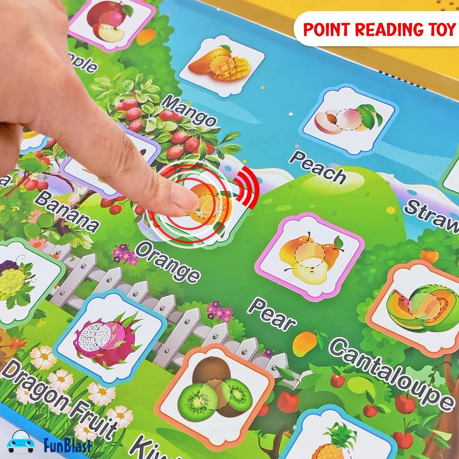 FunBlast Interactive Children Book -Musical Fruits Educational Phonetic Learning Book for 3 + Year Kids, Boys, Toddlers, Fruits Theme DIY Point Reading Toys Music Book - Image 6