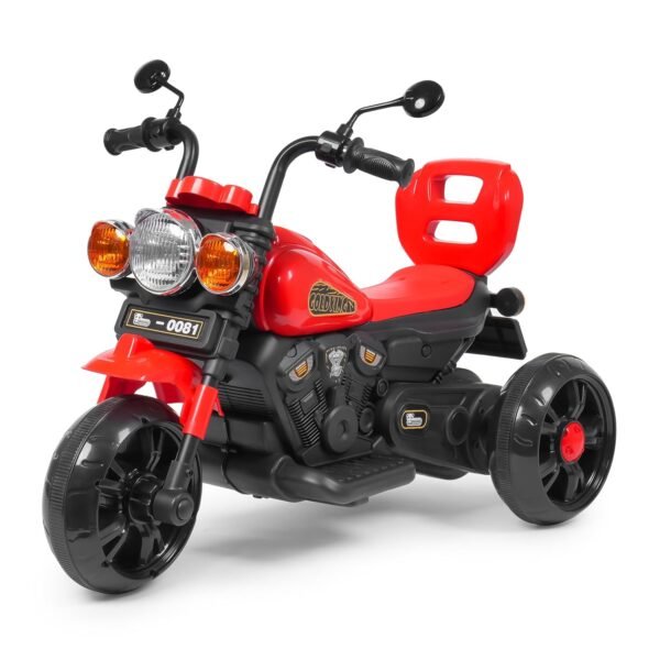 6V Electric Kids Bike Rechargeable 6.5 Ah Battery Inbuilt Imported Motor Drive Music Player LED Light & Foot Accelerator for Ages 1-6 Years (Goldving Electric Bike, Red)