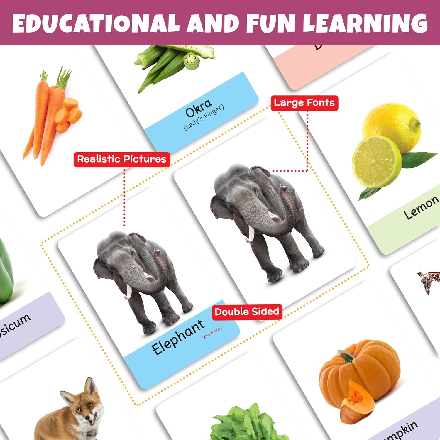 My First Flash Cards for Kids (Combo of 3): Fruits, Vegetables and Animals | 108 Cards for Preschoolers & Toddlers 2-6 Years | Learning Guide & Activities Included - Image 6