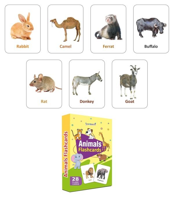 Premium Flash Cards for Kids Early Learning (Combo Set of 14) | Easy & Fun Way of Learning 1 Year to 6 Years Babies Smart Toys - Image 4